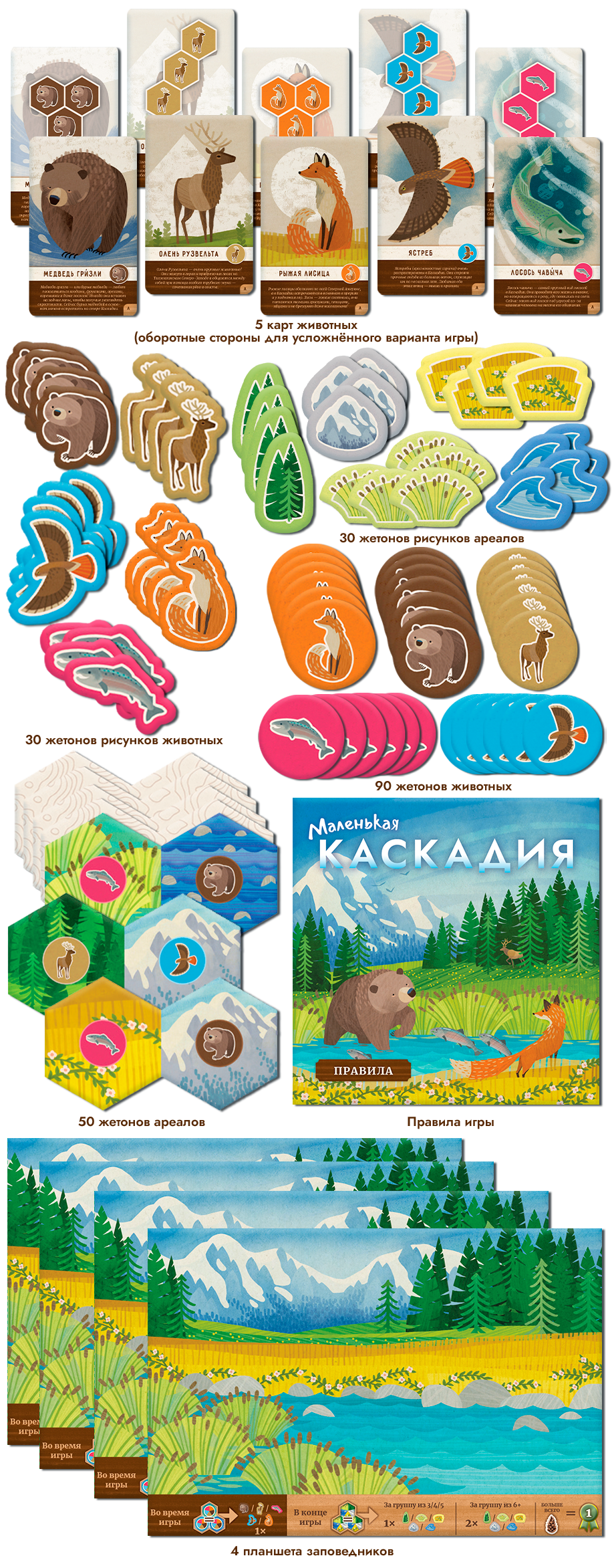 Состав
