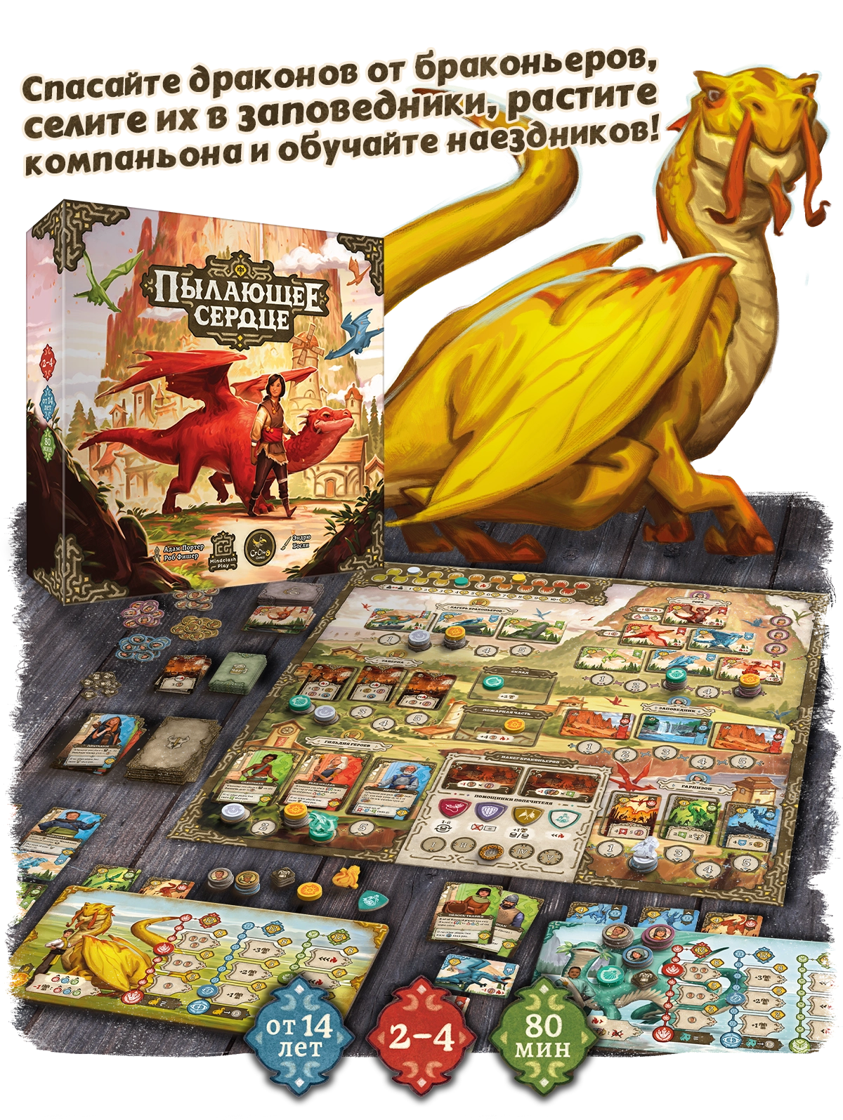 Оглавление копия.webp