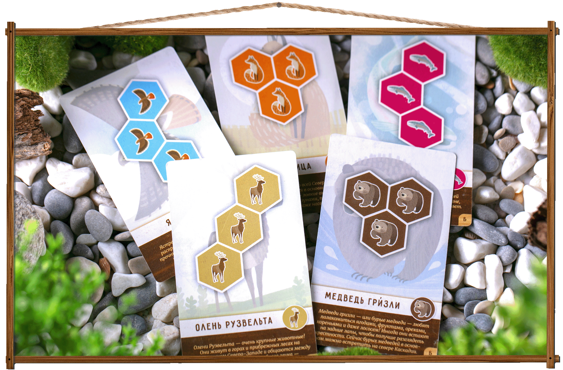 Фото игры