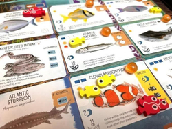 Finspan. Upgrade Pack