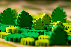 Зелёный дом