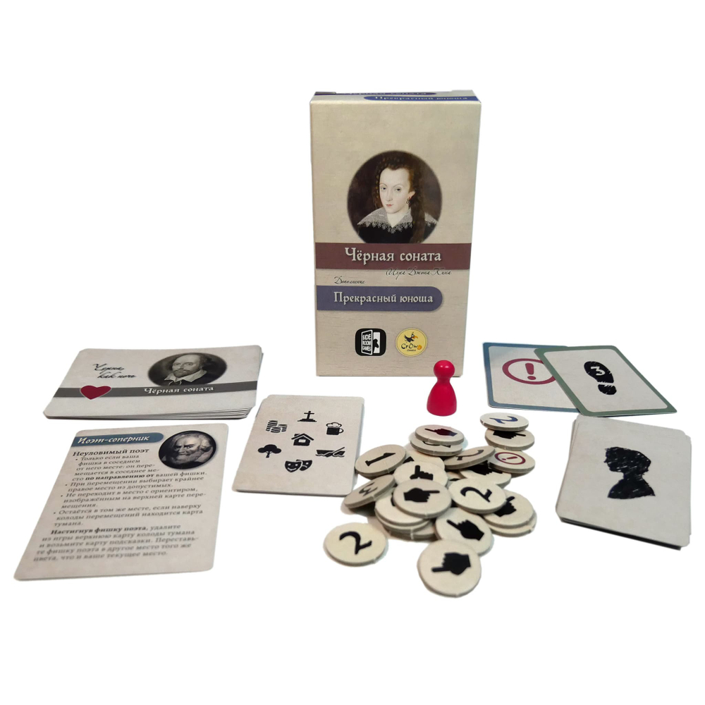 Чёрная соната. Прекрасный юноша-16186-crowdgames.ru-2