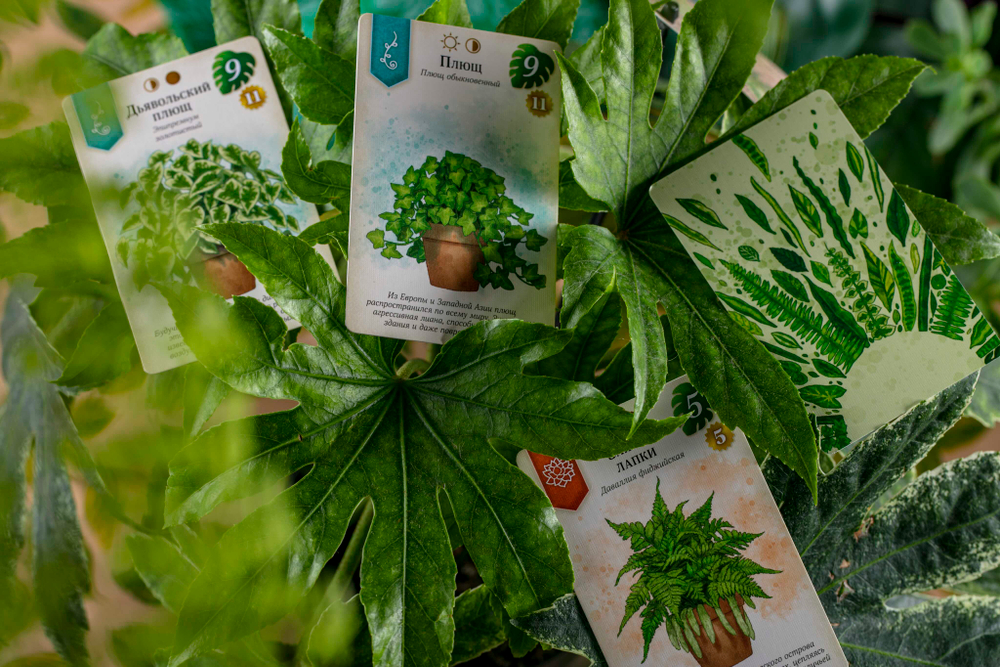 Зелёный дом