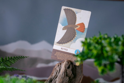 Маленькая Каскадия-16301-crowdgames.ru-9