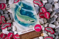 Маленькая Каскадия