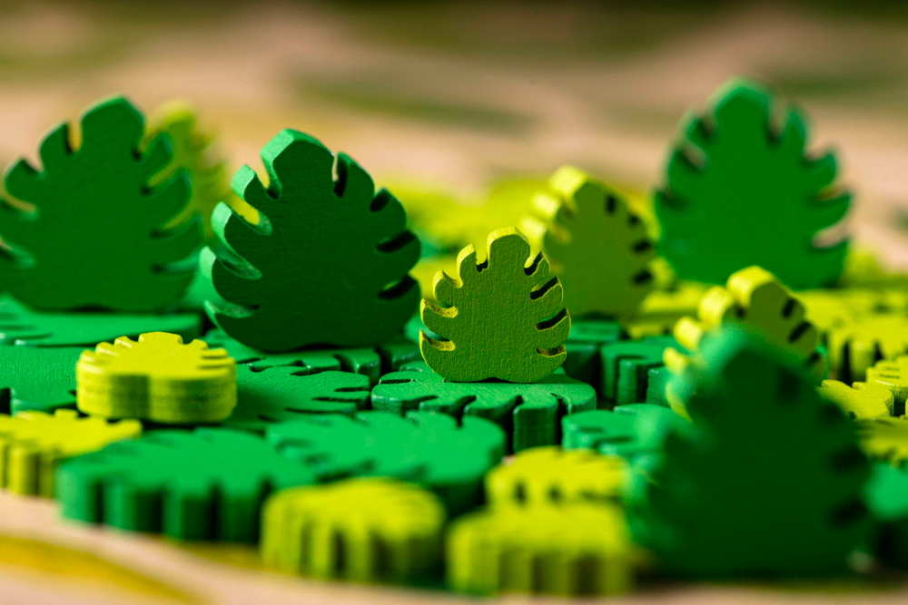 Зелёный дом