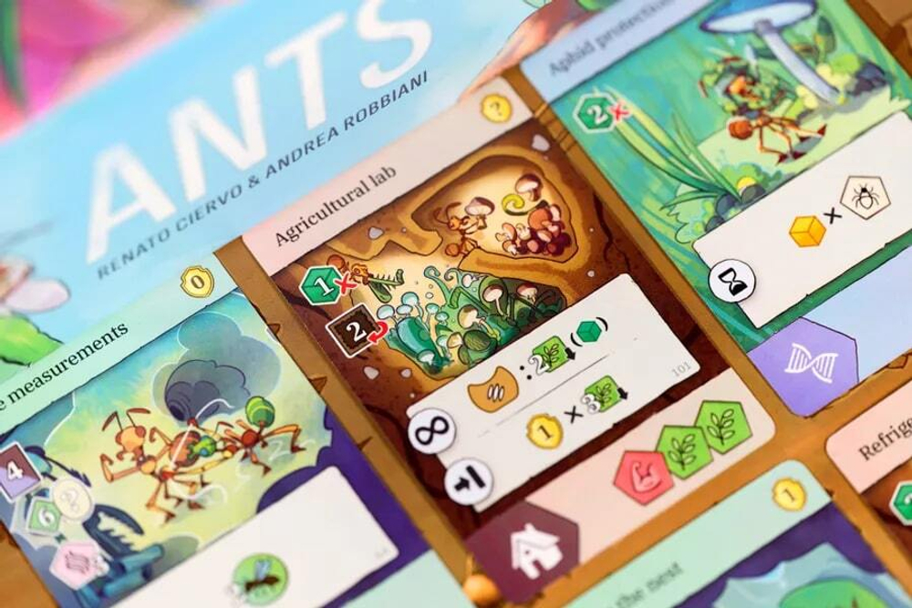 Ants (Муравьи)