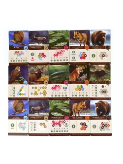 Каскадия. Ориентиры