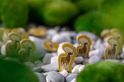 Маленькая Каскадия-16301-crowdgames.ru-14