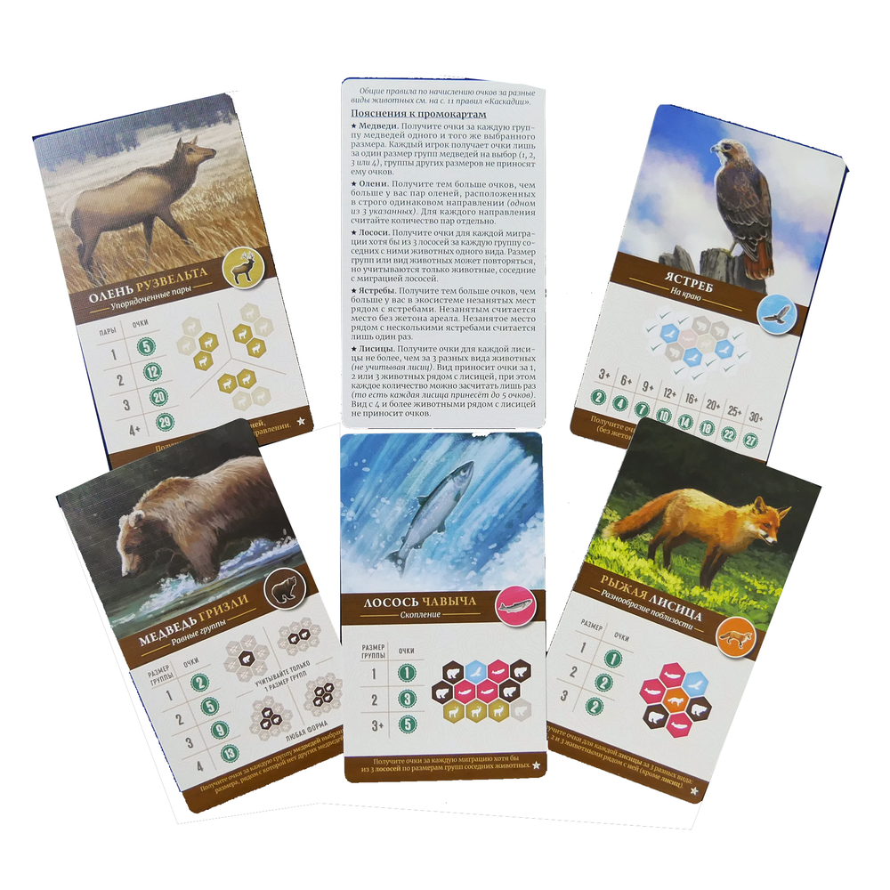 Набор промокарт для настольной игры «Каскадия»