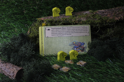 Корни. Речные рекруты-16224-crowdgames.ru-4