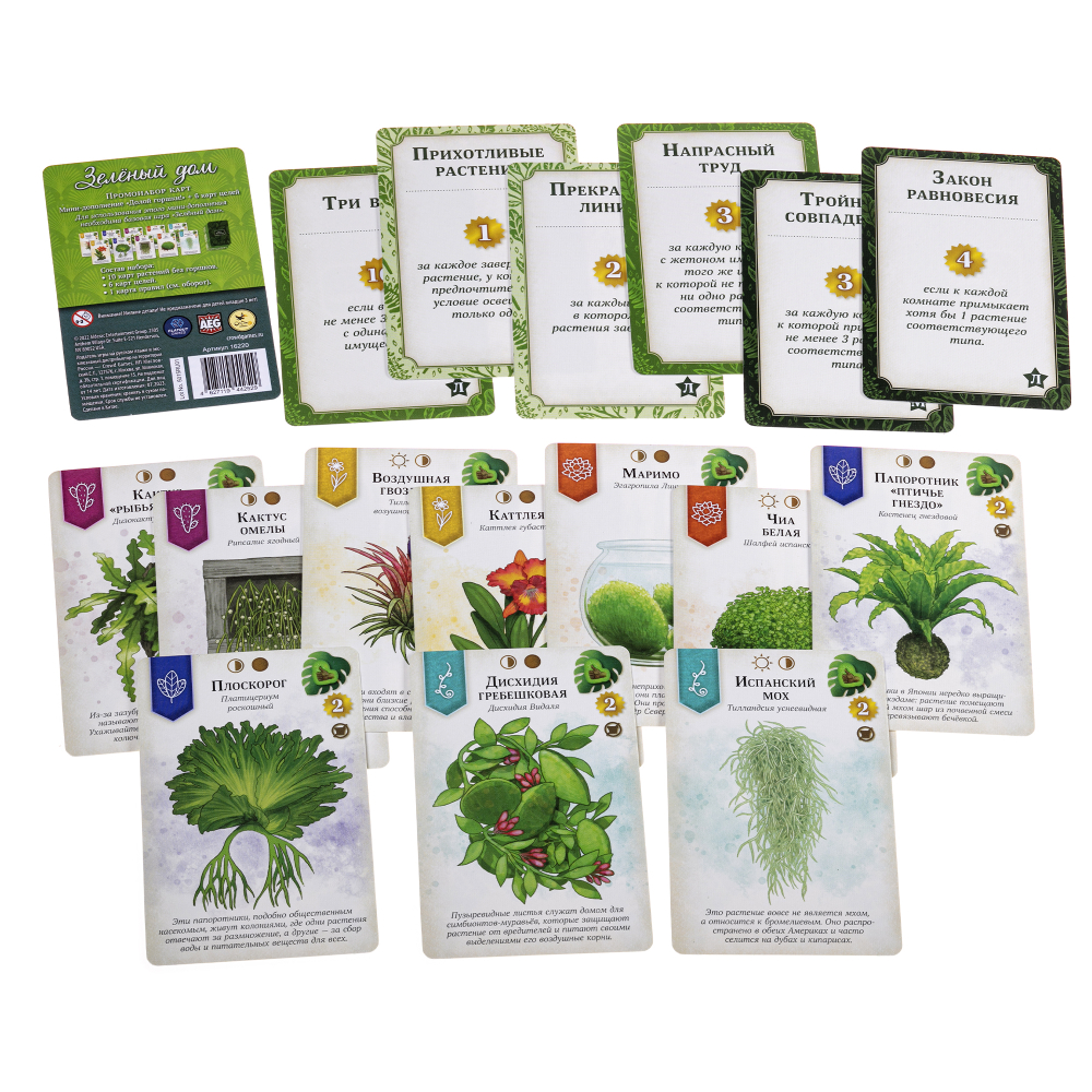 Зелёный дом