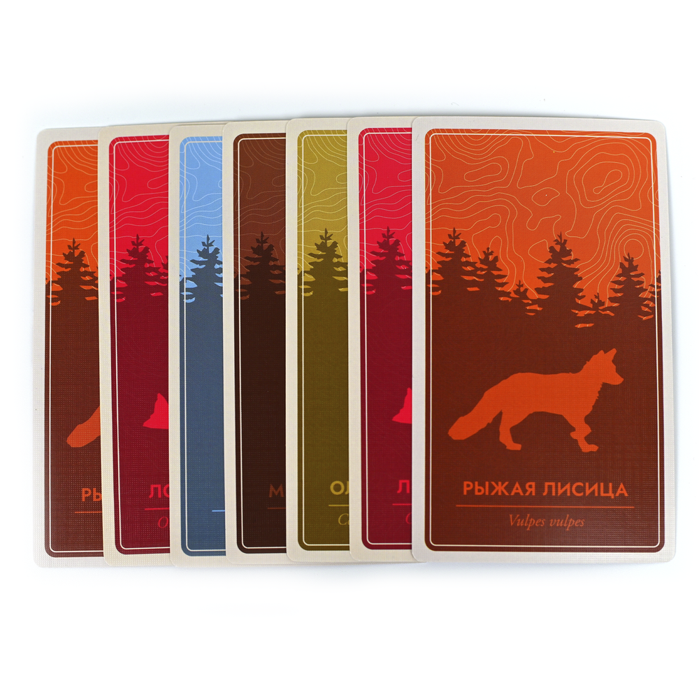 Каскадия. Ориентиры