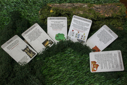 Корни. Набор достопримечательностей