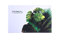Набор миниатюр «Местность Primal» для игры «Primal. Пробуждение»