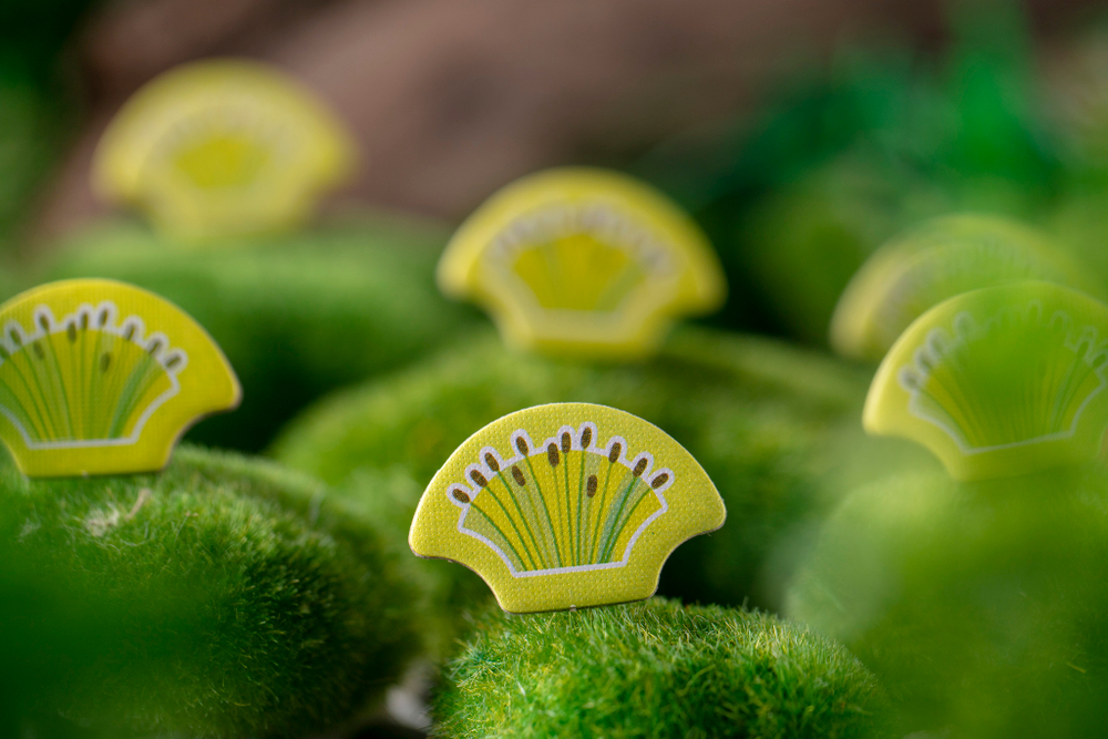 Маленькая Каскадия