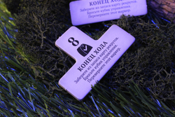 Корни. Речные рекруты