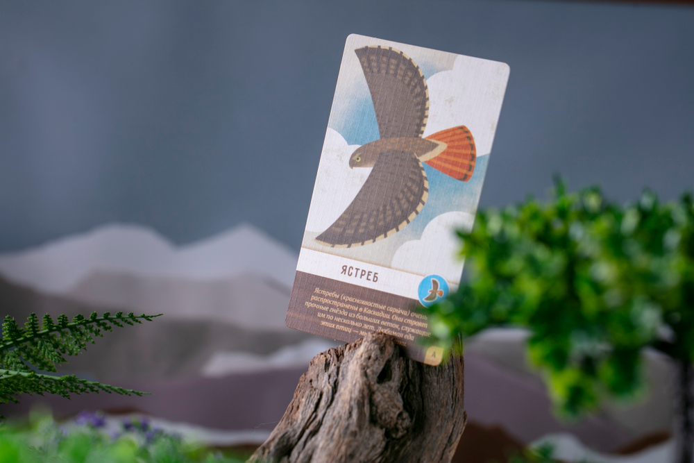 Маленькая Каскадия