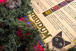 Феод. Обновлённое издание-16302-crowdgames.ru-11