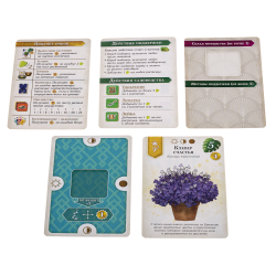 Зелёный дом