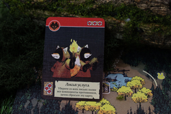 Корни-16087-crowdgames.ru-11