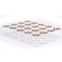 Опустошение. Набор миниатюр