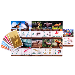 Каскадия (игра без коробки)-16172-SP-crowdgames.ru-8