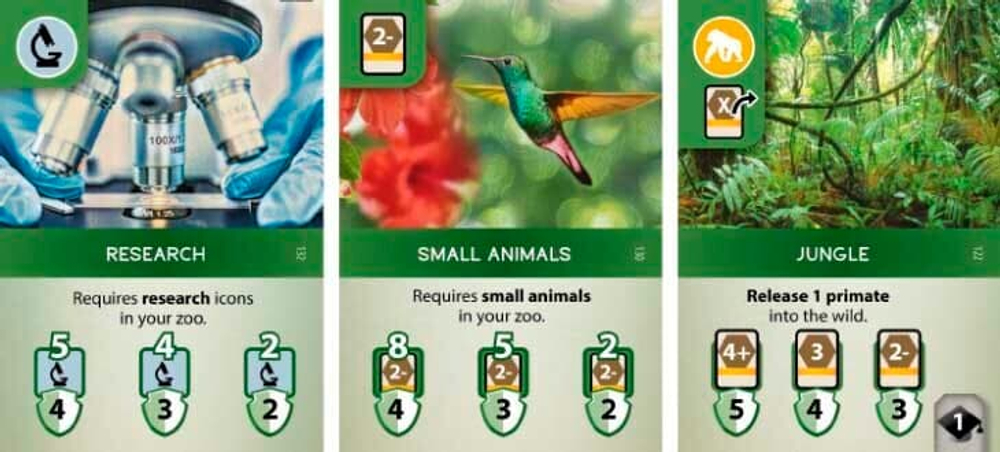 Ark Nova (Арк Нова)-850000576407-crowdgames.ru-4