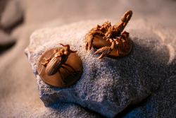 Кемет. Кровь и песок