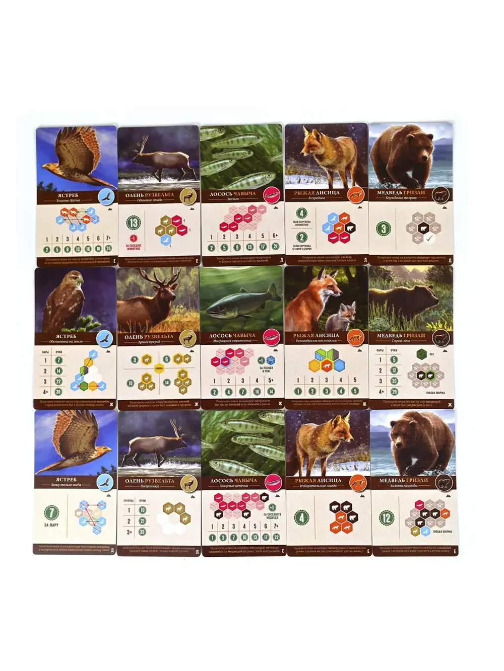 Каскадия. Ориентиры