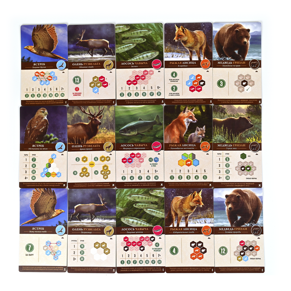 Каскадия. Ориентиры