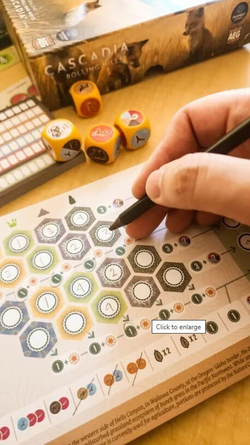 Cascadia. Rolling Hills (Каскадия. Покатые холмы)-FLA1060-crowdgames.ru-9