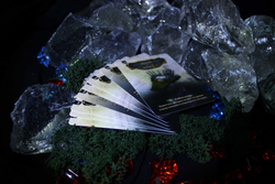 Осквернённый Грааль. Модульный лагерь