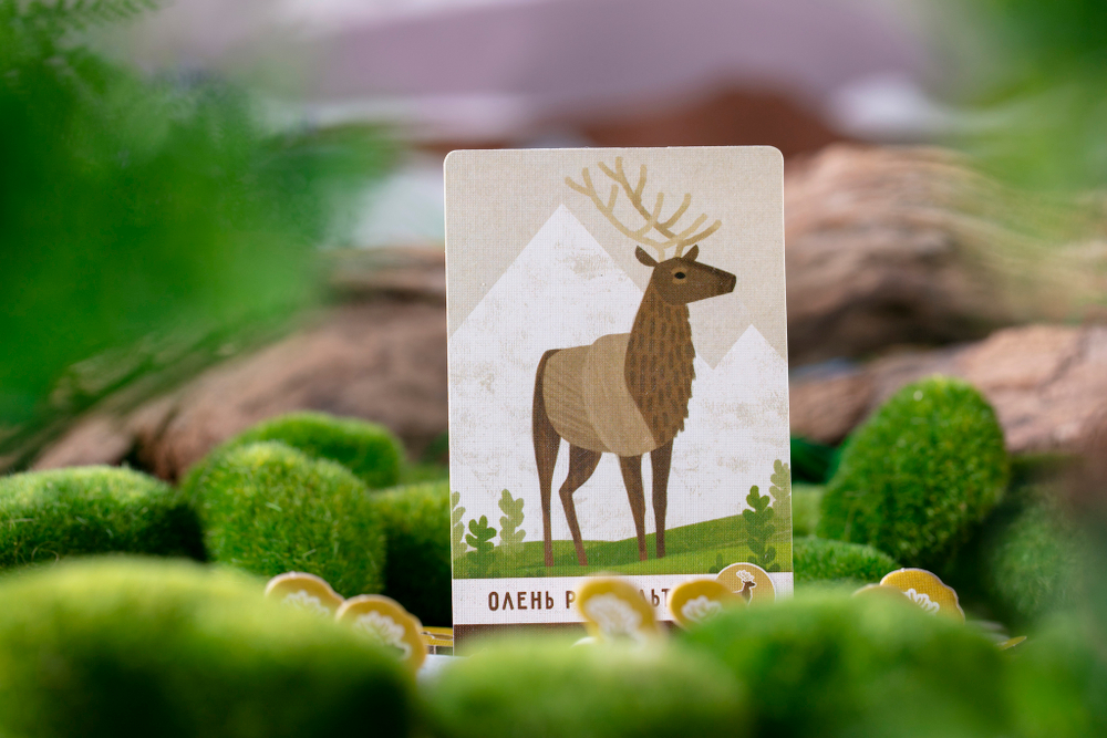 Маленькая Каскадия