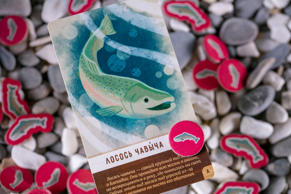 Маленькая Каскадия