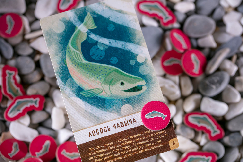 Маленькая Каскадия-16301-crowdgames.ru-4