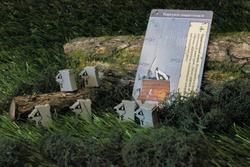 Корни. Рекруты-мародёры