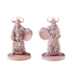 Кровь и Ярость. Колдуны Мидгарда