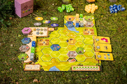 Заповедник. Исчезающие виды