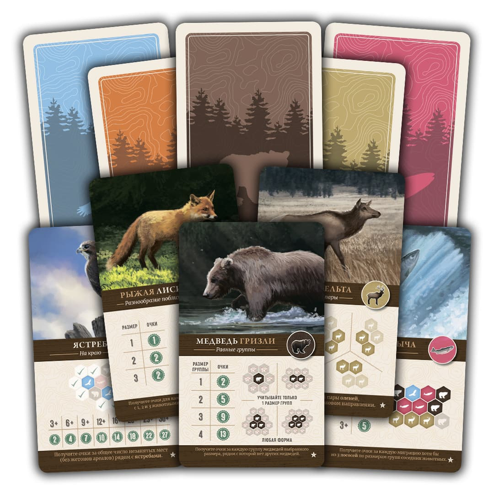 Набор промокарт для настольной игры «Каскадия»-16209-crowdgames.ru-2