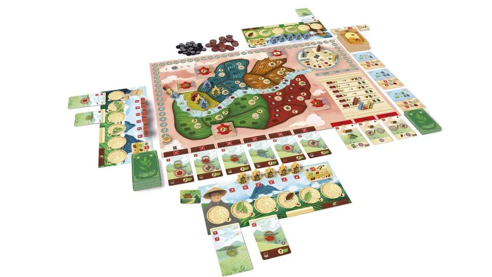 Tea Garden (Чайный сад)