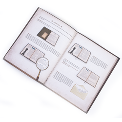 Шерлок Холмс, детектив-консультант. Карлтон-хаус и Куинс-парк