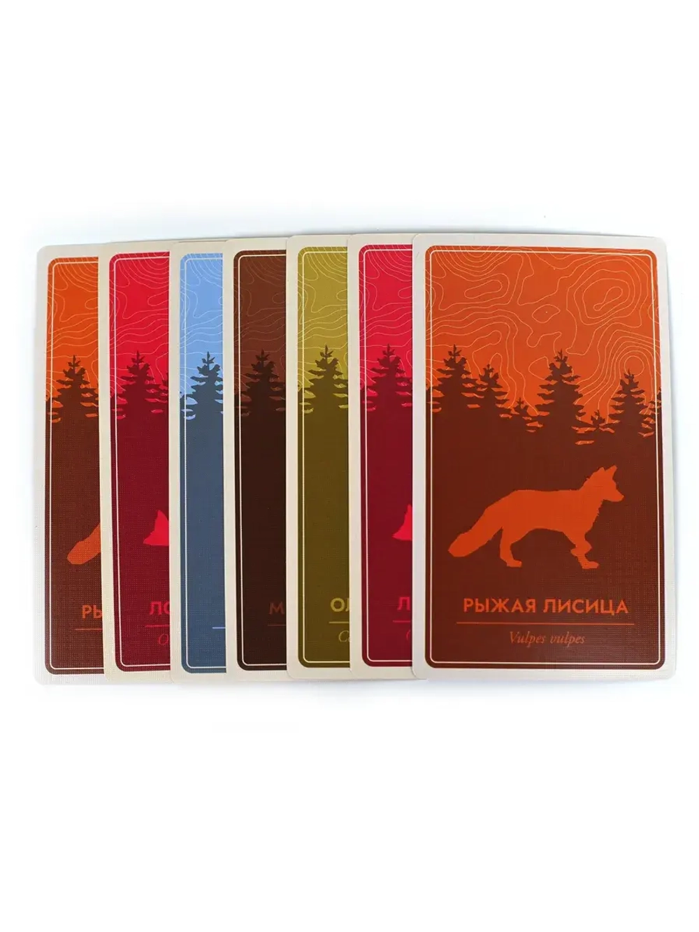 Каскадия. Ориентиры