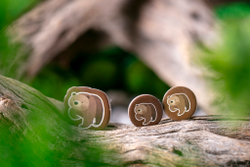 Маленькая Каскадия