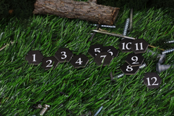 Корни. Механизмы 2-16227-crowdgames.ru-15