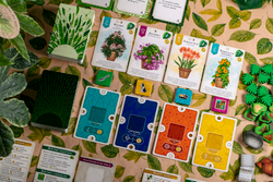 Зелёный дом