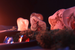 Осквернённый Грааль. Короли краха (уценённый товар)