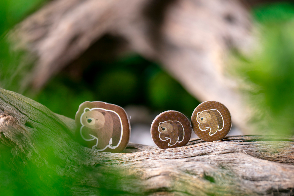 Маленькая Каскадия