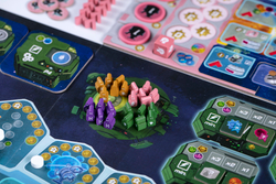 Федерация. Делюкс-издание