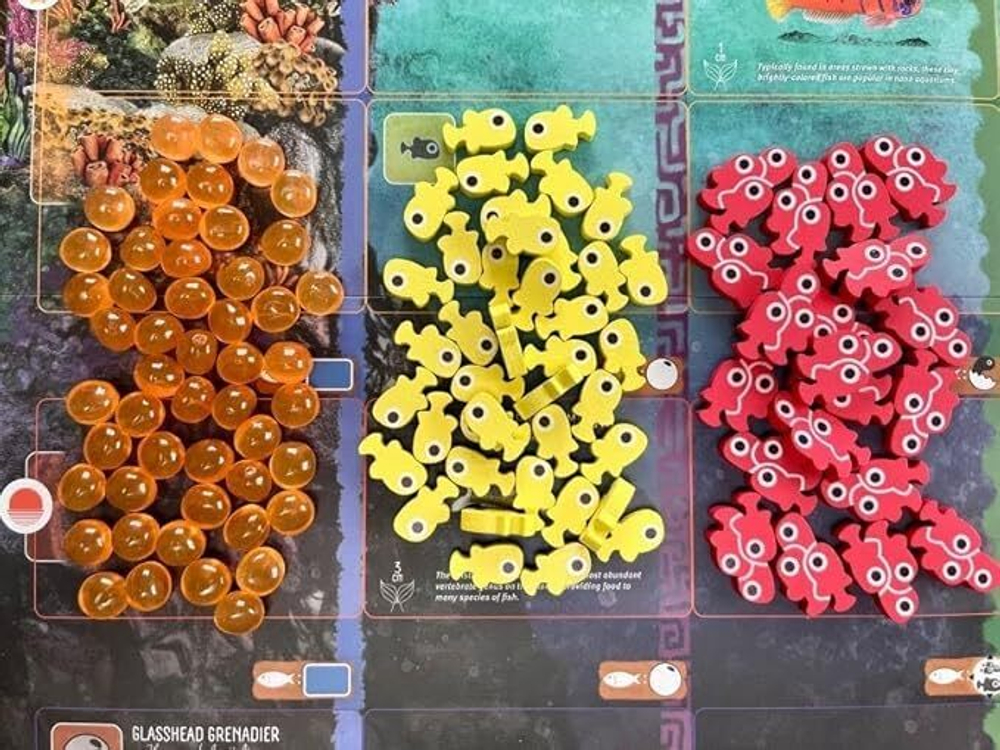 Finspan. Upgrade Pack